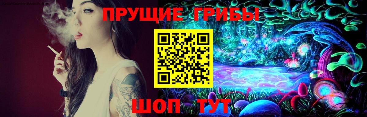 Нижнеудинск  Галлюциногенные грибы MAGIC MUSHROOMS  Вход с VPN 